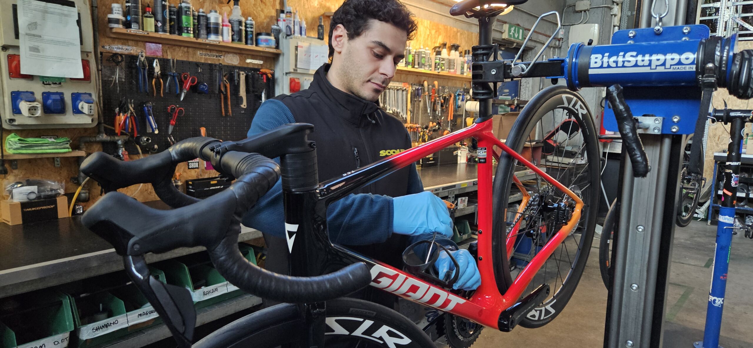 tagliando giant tcr